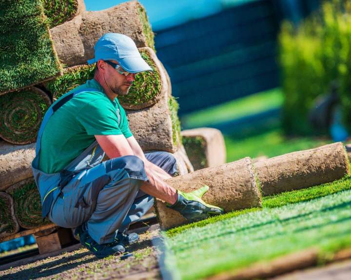 Une jolie pelouse pour orner votre propriété !